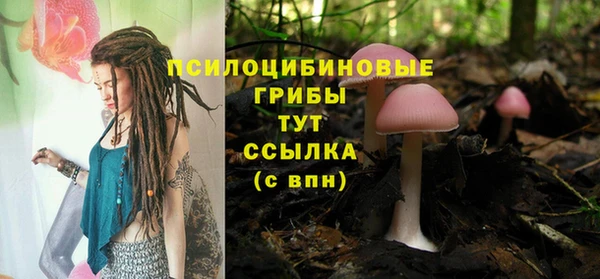 твердый Абаза