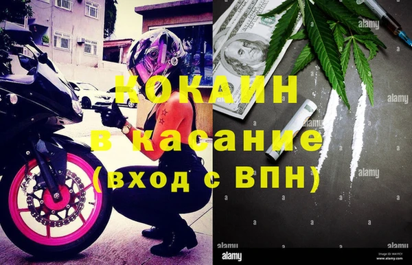 твердый Абаза